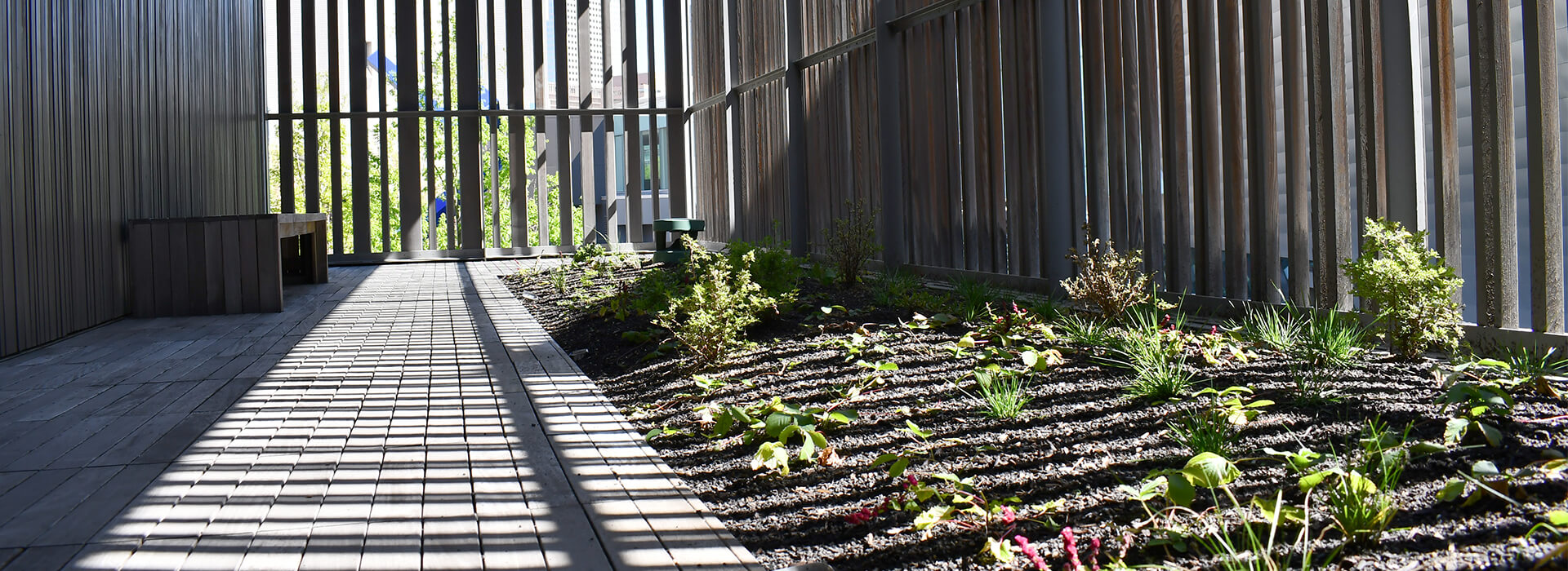 Installation image of a terrace at the Clyfford Still Museum with new plants