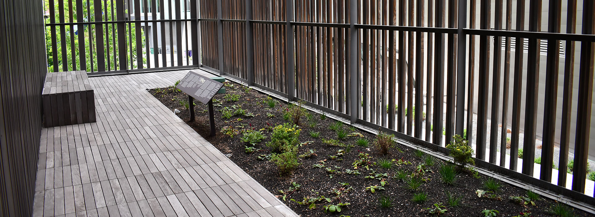 Installation image of a terrace at the Clyfford Still Museum with new plants