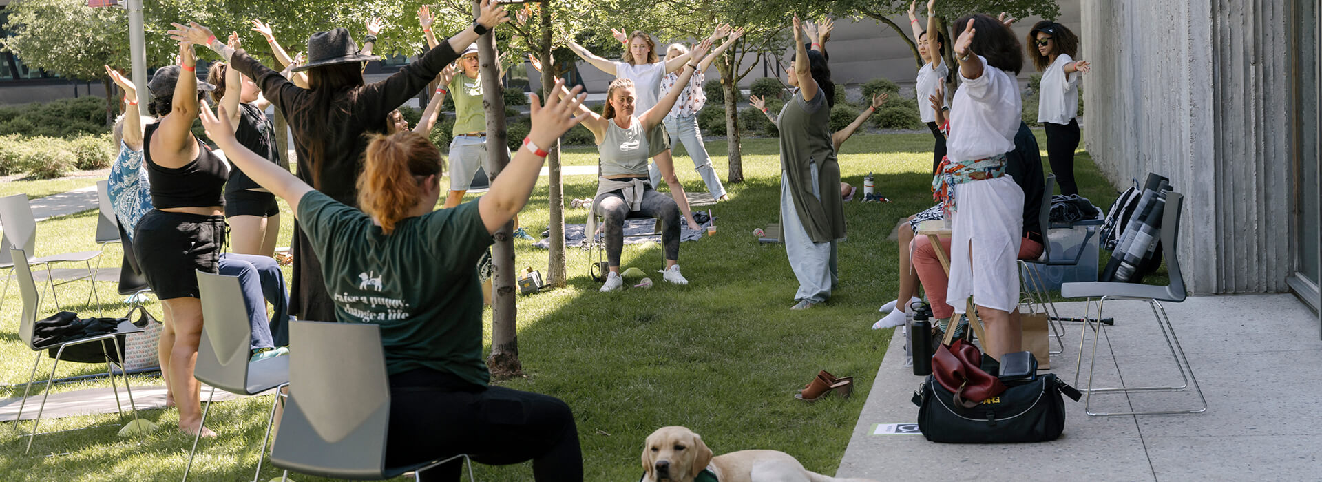 People do adaptive yoga outside during the summer