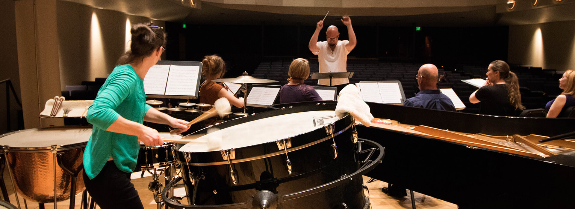 A chamber orchestra group on stage performing