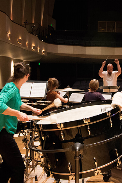 A chamber orchestra group on stage performing