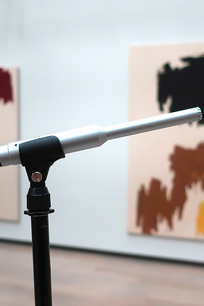 A microphone in the galleries