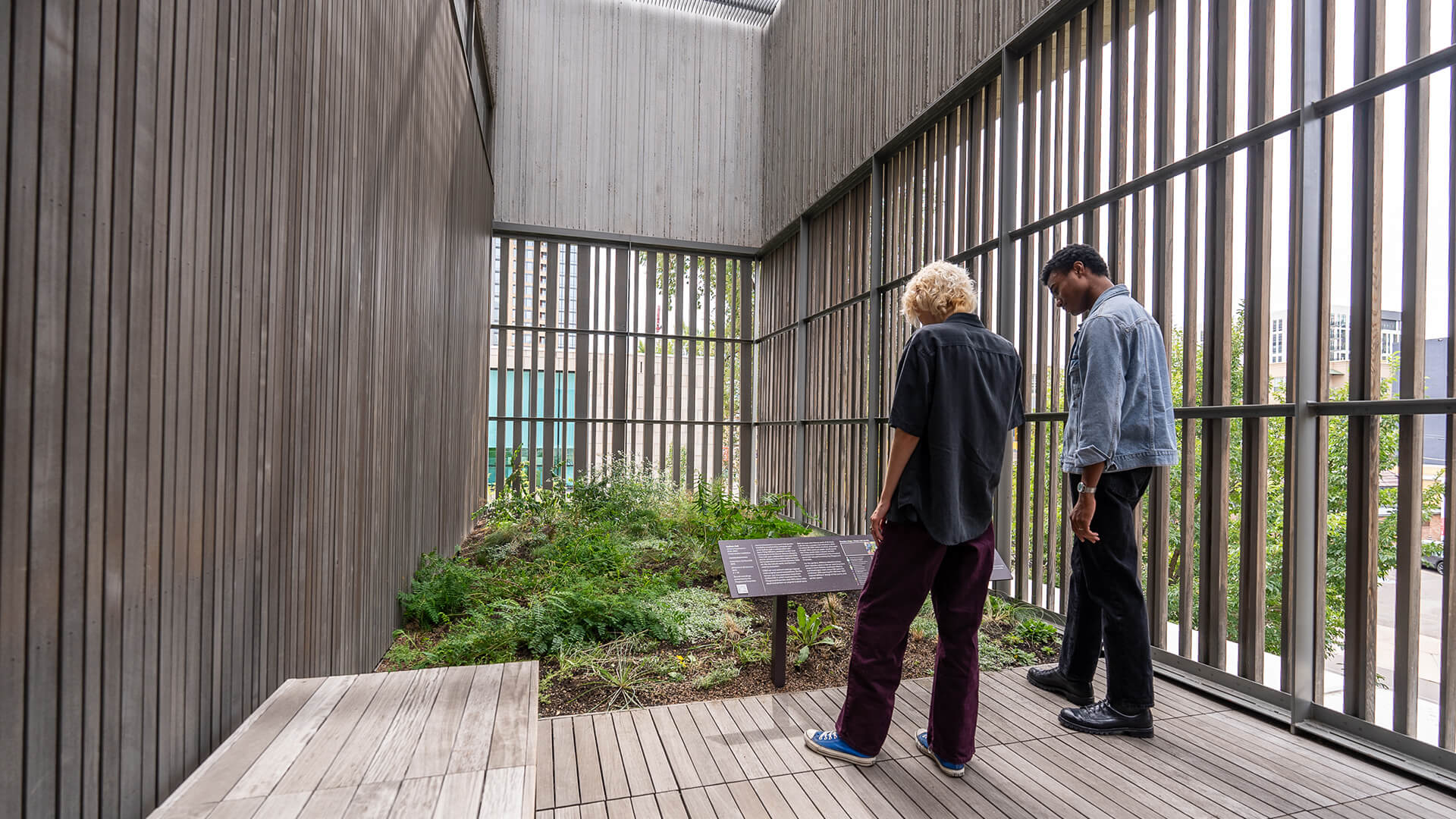 Two people look at plants on a terrace